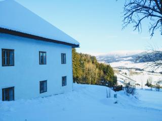 Ferienhaus Herrnbauer - Zaglau - 1