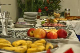 Hotel Dominguez Plaza - Nova Friburgo - 2