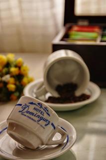 Hotel Dominguez Plaza - Nova Friburgo - 1