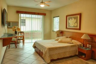 Hotel Dominguez Plaza - Nova Friburgo - 4