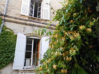 Cocooning Avignon - Avignon - 7