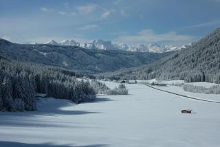 Residence Bannwald - 2