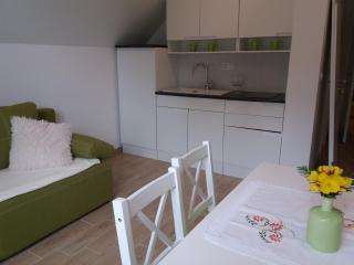 Apartma Momo - Bohinj - 5