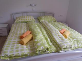 Apartma Momo - Bohinj - 6