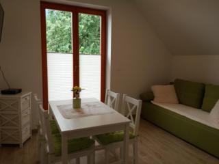 Apartma Momo - Bohinj - 0