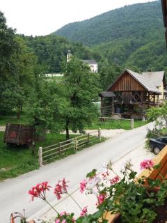 Apartma Momo - Bohinj - 7