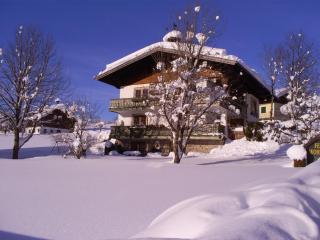 Ferienhaus Hirterhütte - Abtenau - 8