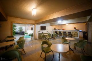 Hotel Ozana - Bistriţa - 5