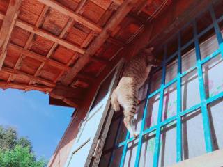 Lily's Stone Garden double room - Ðức Lập - 7