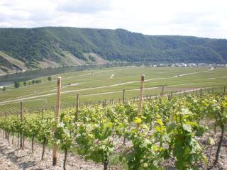 Holiday Home Weingut Mertes - Minheim - 5