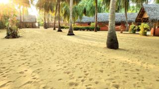 Roshanne Beach Resort - Kalpitiya - 2