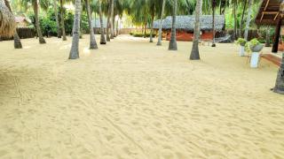 Roshanne Beach Resort - 3