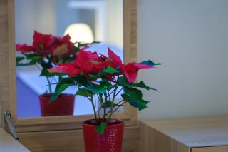 Hilltop Residences - Kalamaki - 1