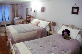 Domaine de la chapelle - Ch d'hote - Faverolles-sur-Cher - 5