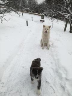 Willa Panorama SPA - 2