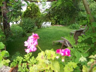 Domaine de Cadenne - Saint-Antonin - 5