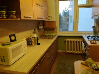 Green Apartment - 1