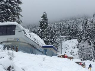 Cottage Shgedi - 5