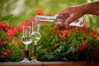 Reiterhof Suassbauer - 6