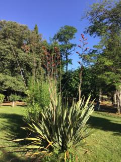 Domaine de Parazols - 3