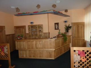 Hotel & Restaurant Na Fryštátské - Karviná - 7