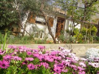 Apartman KRISTINA and FREE PARKING - Mali Lošinj - 6