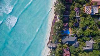 Mnarani Beach Cottages - Nungwi - 8