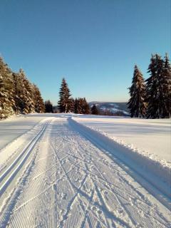 Fewo-Mueller - Klingenthal - 8