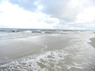 moderne 3-Raum Ferienwohnung Strandmöwe mit Panoramafenster - Ueckeritz - 1