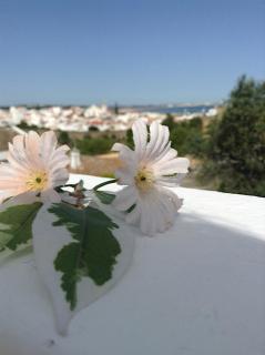 CasaDuarte "Balcony" (2 bedroom Apt.) - 8
