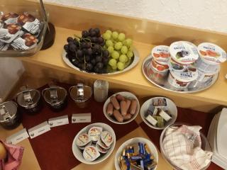 Pension Tiffany - Chemnitz - 4