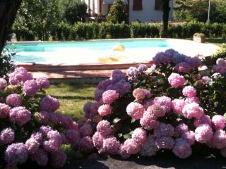 Villa La Ginestra - Charming Country Home - Capolona - 5