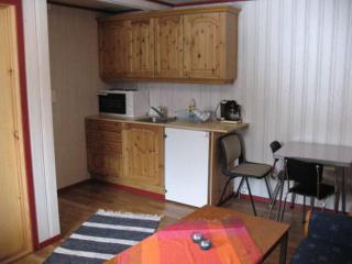 Seljestad Cottages - Skare - 8