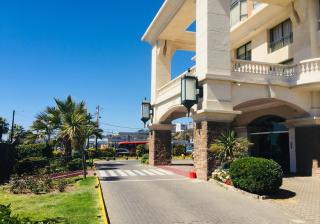 Ocean Pacific Dreams - 4