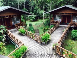 Borneo Nature Lodge - Sukau - 9