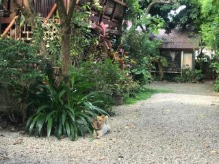 Baan Songjum - Chiang Mai - 0