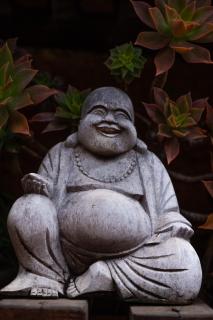 Treetops Guesthouse - 8