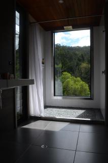 Wongari Eco Retreat - Lamington - 3