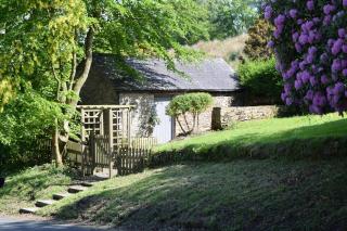 The Bothy at Ivy Cottage - 5