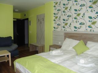 Berghof Eva - Hotel - Panichishte - 6