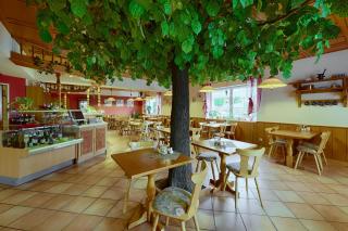Hotel Auerhahn - Masserberg - 2