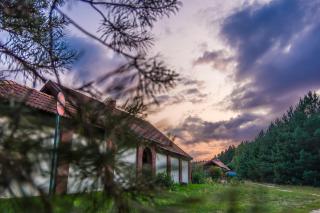 Noclegi Przylesie - Rychnowy - 6