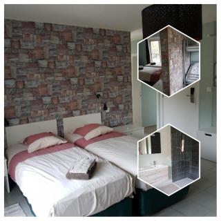 De Hollemeersch Hotel - 8