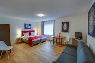 Hotel Leo Mühlhausen - Mühlhausen - 8