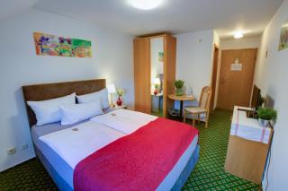 Hotel Leo Mühlhausen - Mühlhausen - 5