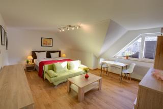 Hotel Leo Mühlhausen - Mühlhausen - 3