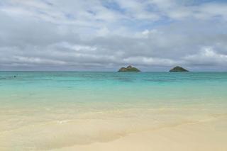 Island Colony 4108 - Honolulu - 8
