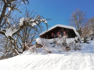 Ferienhaus Schnider - 0