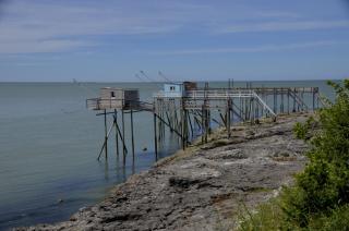 RESIDENCE LES ECUREUILS - Saint-Palais-sur-Mer - 0