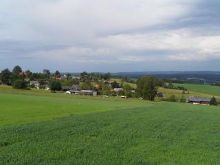 Landhotel Weisses Röß`l - Adorf - 1